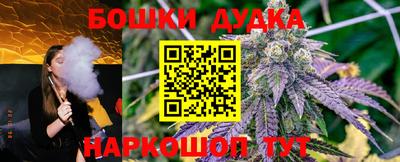 гидра Бузулук