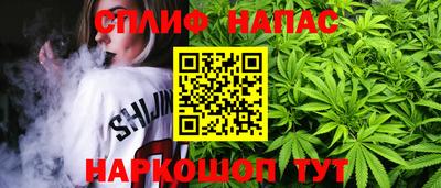 jwh Будённовск