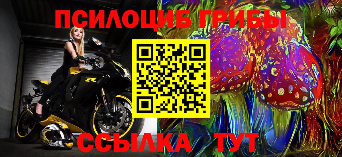 Рузаевка  Псилоцибиновые грибы прущие грибы  Вход с VPN  Псилоцибиновые грибы Psilocybe 
